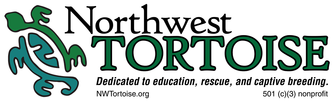 Northwest Tortoise becomes nonprofit
