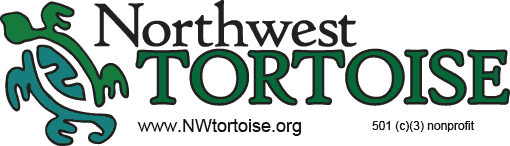 nonprofit-logo-org