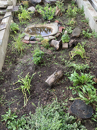 tortoise enclosure indoor ideas